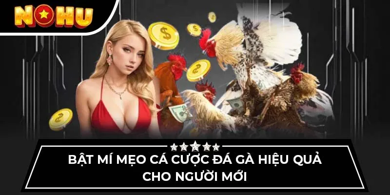Bật mí mẹo cá cược đá gà hiệu quả cho người mới