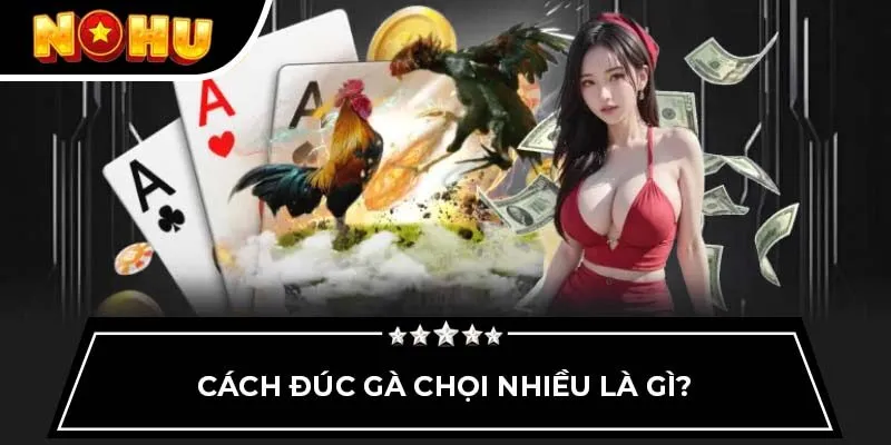 Cách đúc gà chọi nhiều là gì?