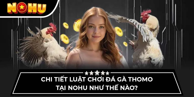 Chi tiết luật chơi đá gà thomo tại Nohu như thế nào?
