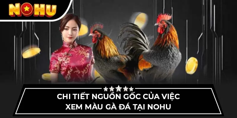 Chi tiết nguồn gốc của việc xem màu gà đá tại Nohu