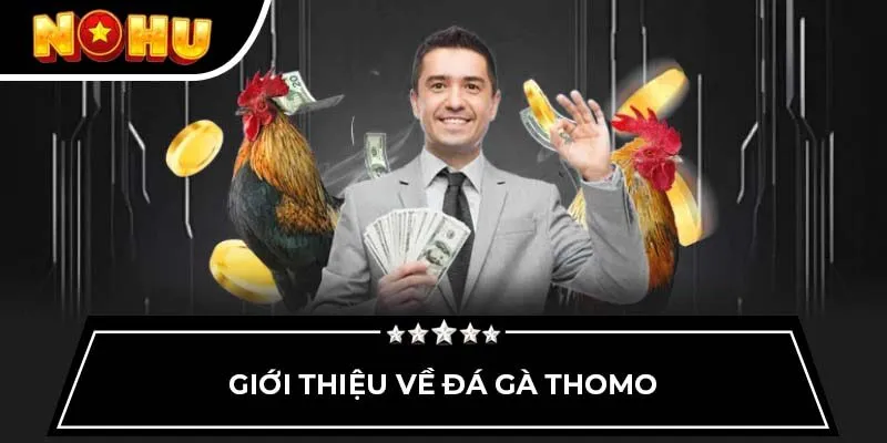 Giới thiệu về đá gà thomo