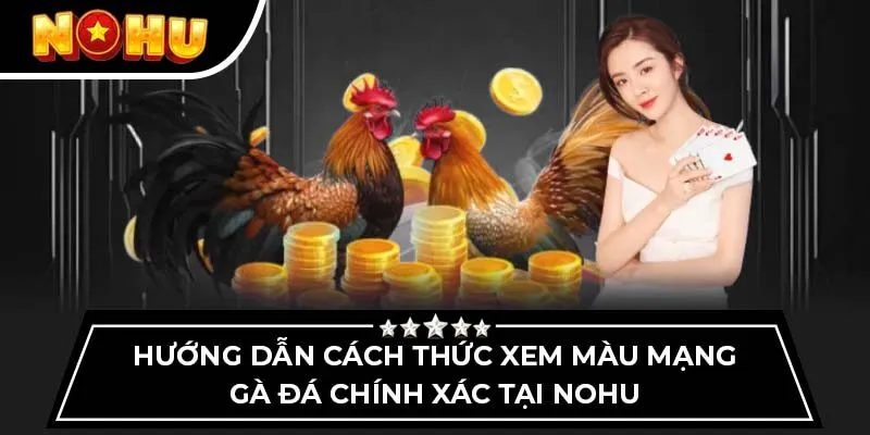 Hướng dẫn cách thức xem màu mạng gà đá chính xác tại Nohu