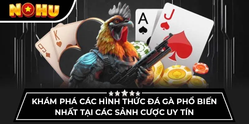 Khám phá các hình thức đá gà phổ biến nhất tại các sảnh cược uy tín