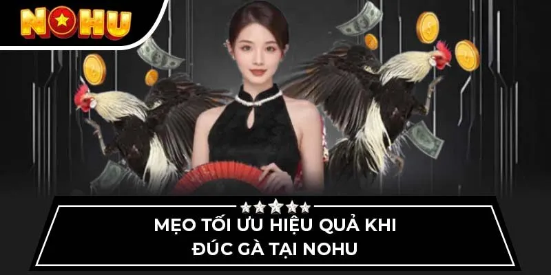 Mẹo tối ưu hiệu quả khi đúc gà tại Nohu