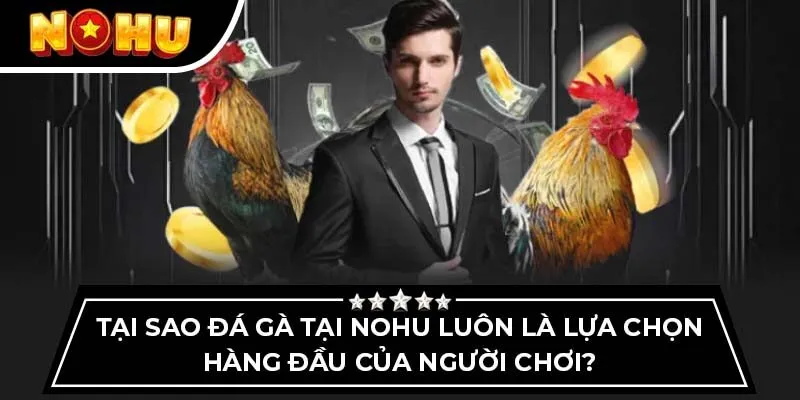 Tại sao đá gà tại Nohu luôn là lựa chọn hàng đầu của người chơi?